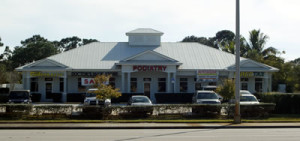 Life Chiropractic PSL